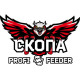 Скопа